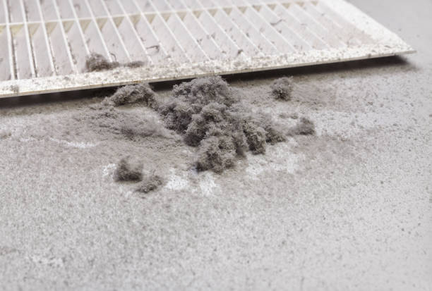 Best Professional Duct Cleaning Services  in Belle, MO